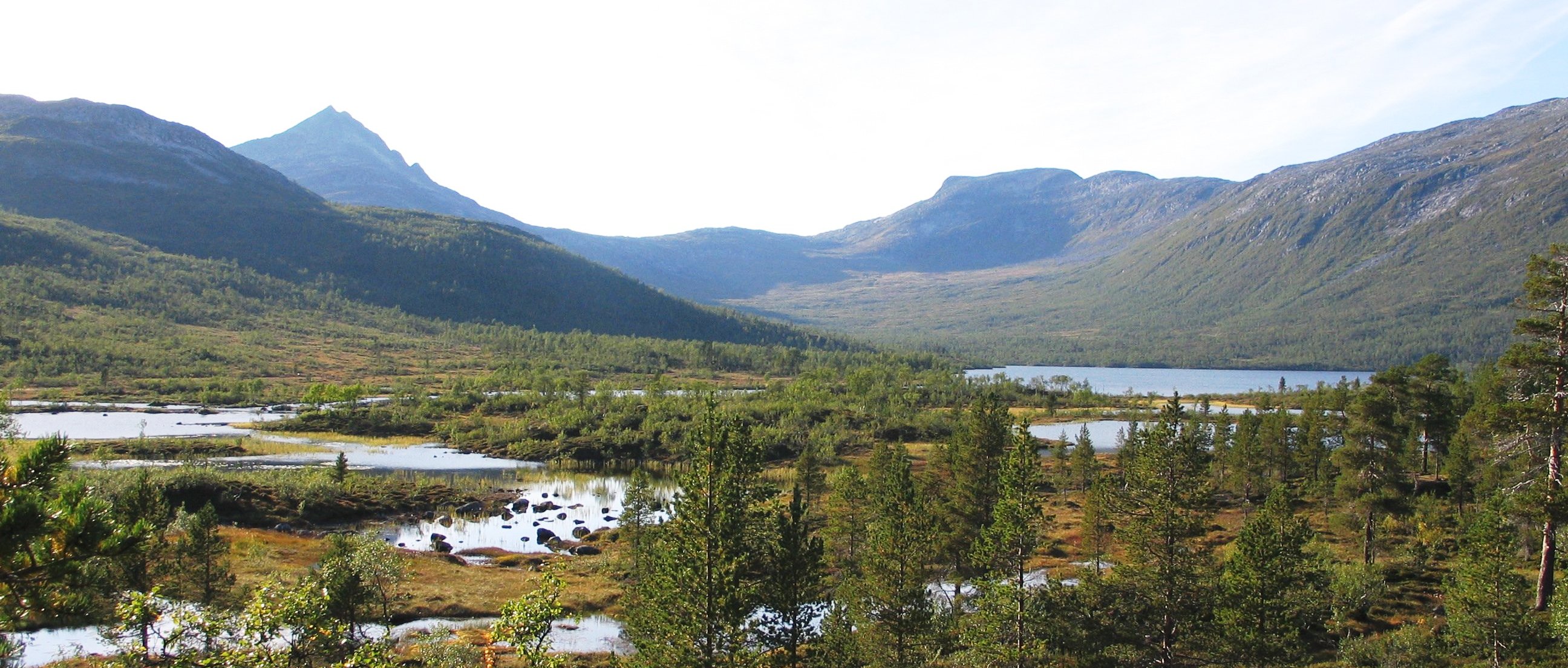 Ånderdalen Foto: Knut M. Nergård