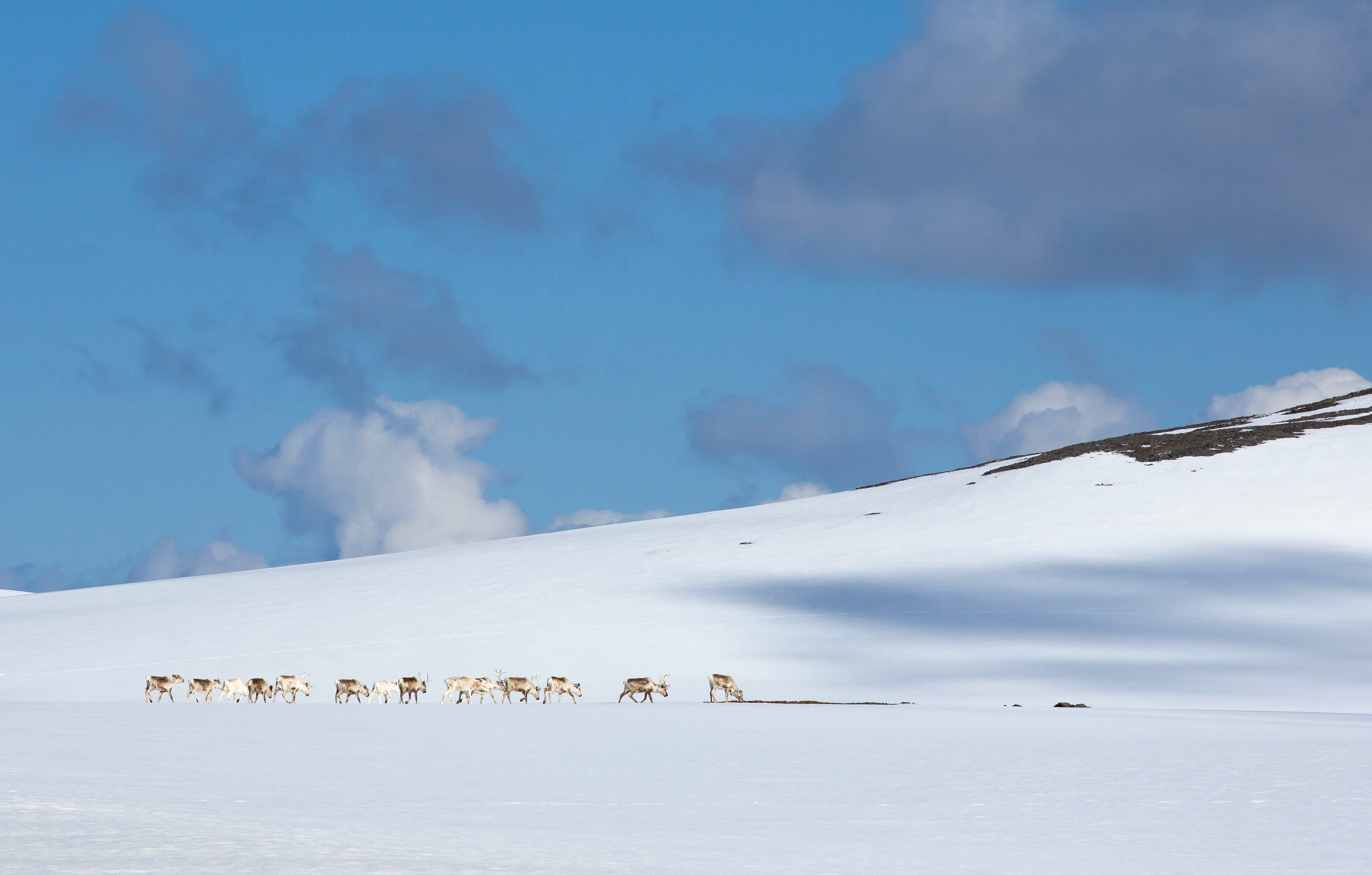 Foto: Statsforvalteren
