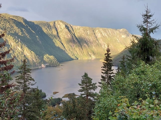 Verneforslaget startar frå kraftstasjon og strekkjer seg mot høgre fram mot Heddedalane naturreservat. Foto: Statsforvaltaren i Vestfold og Telemark 