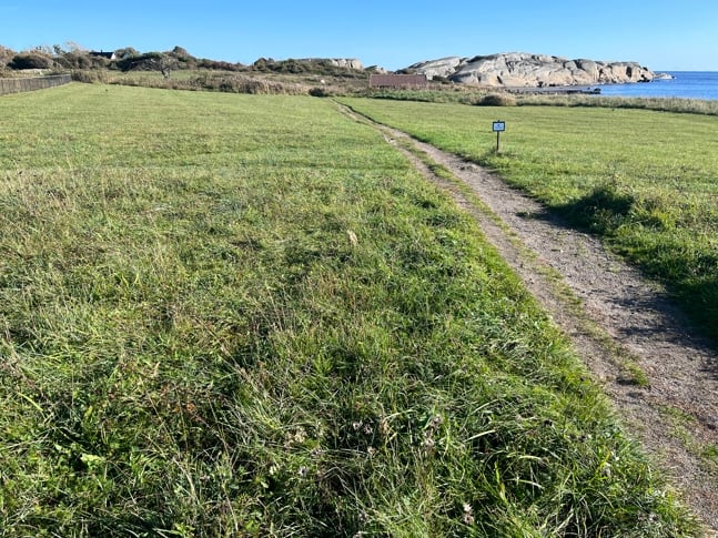 Sønstegård plante- og dyrefredningsområde. Bildet er tatt i oktober 2023. Foto: Statsforvalteren i Vestfold og Telemark