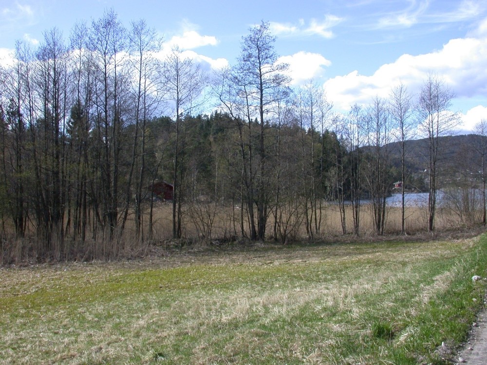 Gårdemma naturreservat. Foto: Statsforvalteren i Vestfold og Telemark. Gårdemma naturreservat.