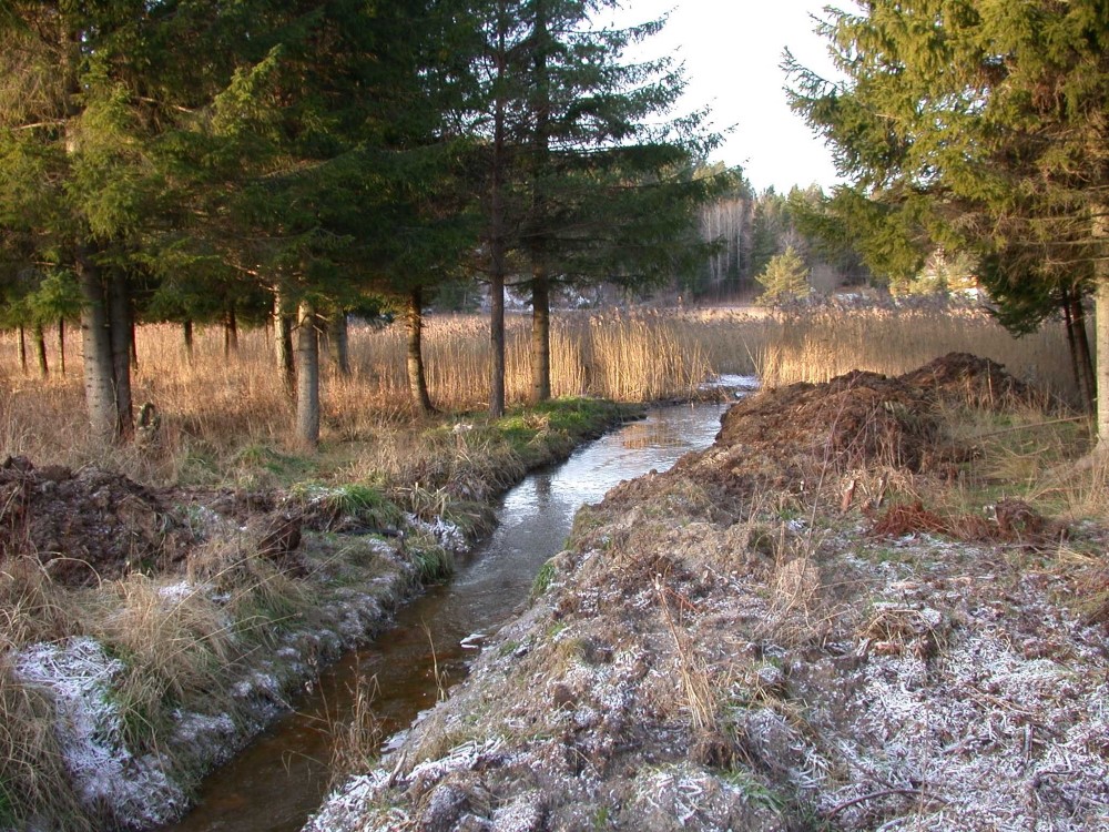Kiletjernene naturreservat. Foto: Statsforvalteren i Vestfold og Telemark. Kiletjernene naturreservat.