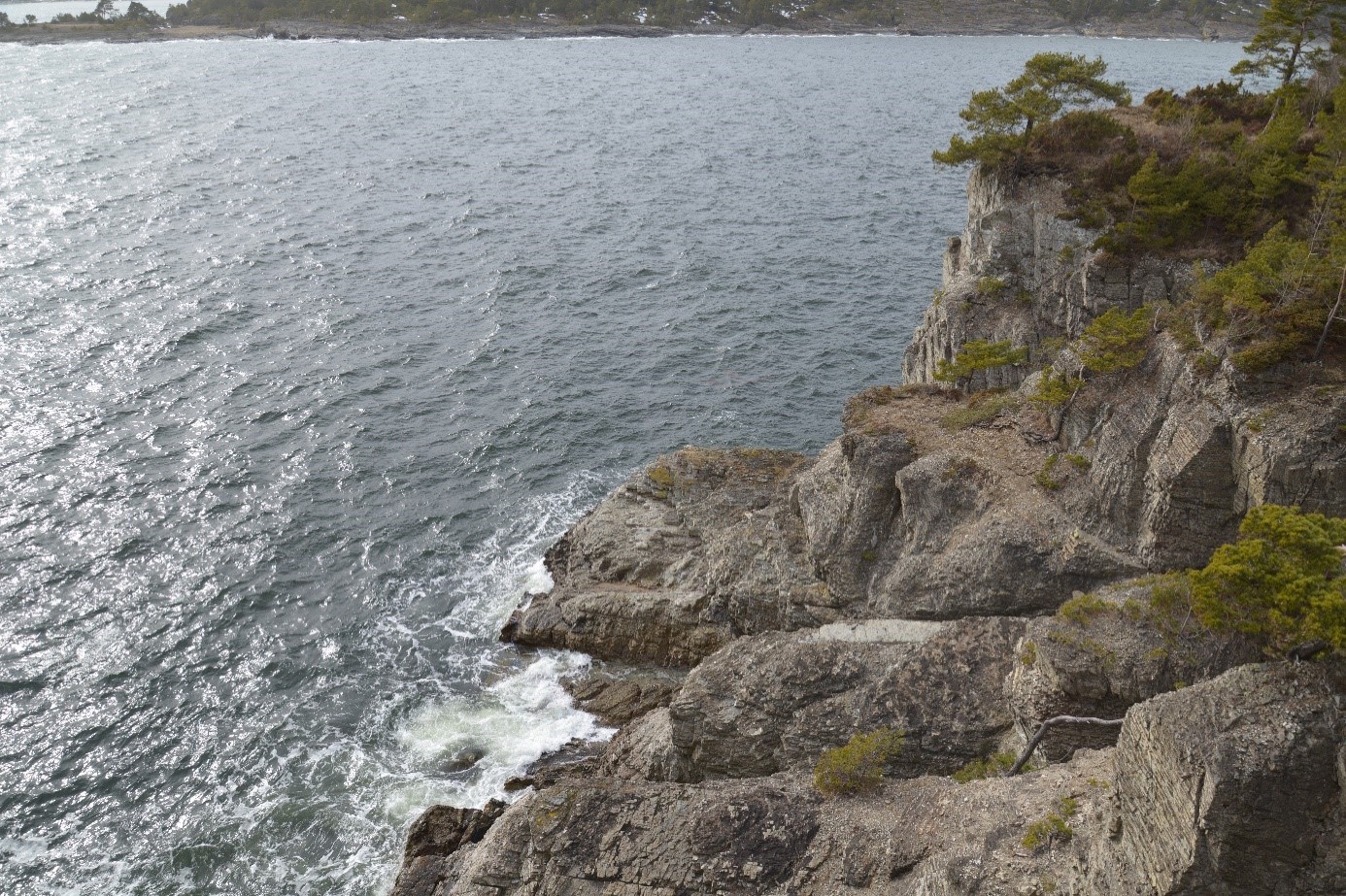 Nustad naturreservat. Foto: Statsforvalteren i Vestfold og Telemark. Nustad naturreservat.