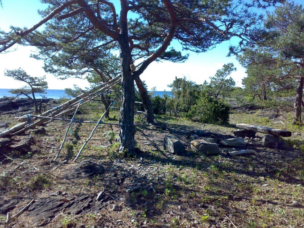 Rognsflauane naturreservat. Foto: Statsforvalteren i Vestfold og Telemark. Rognsflauane naturreservat.