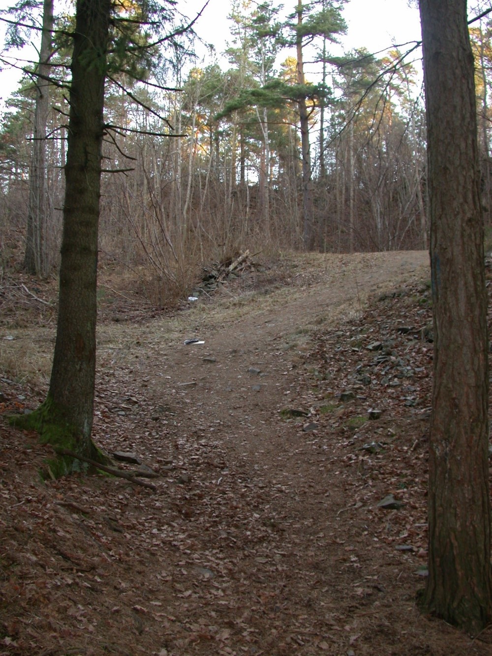Røsskleiva naturreservat. Foto: Statsforvalteren i Vestfold og Telemark. Røsskleiva naturreservat.