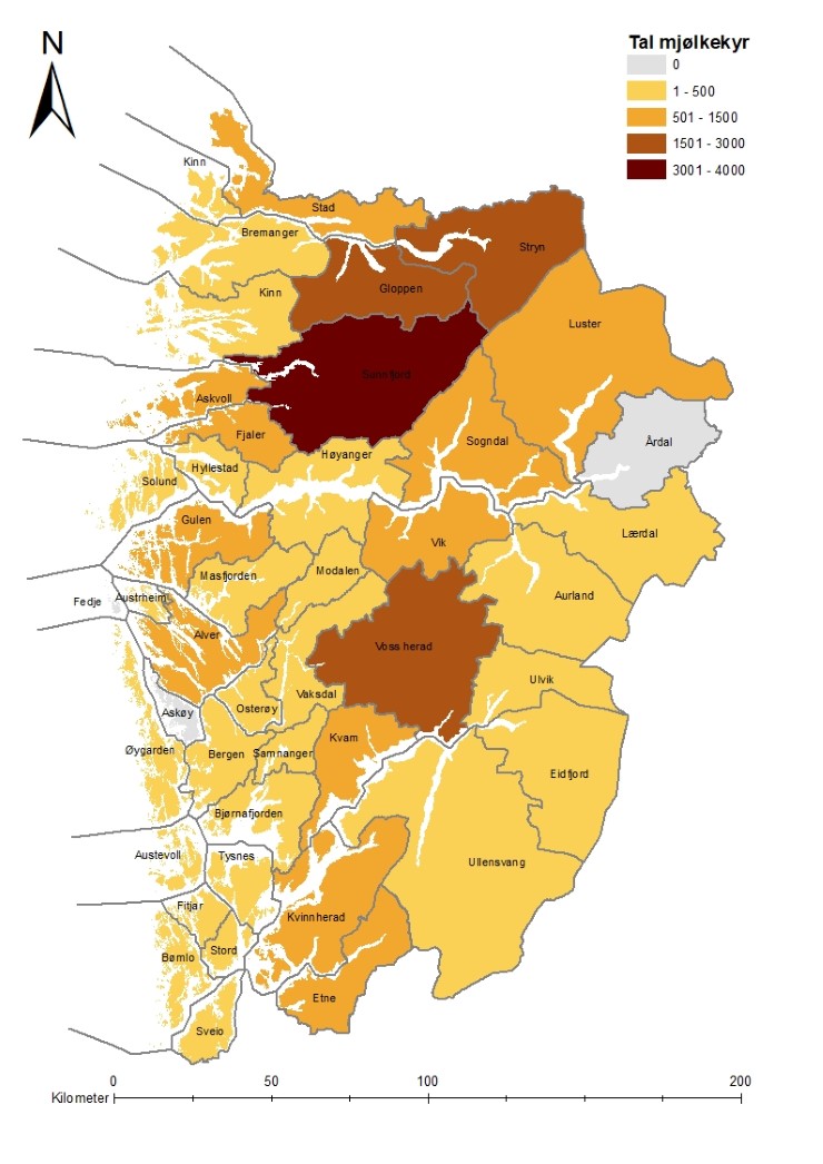 Illustrasjon 1. Tal mjølkekyr i Vestland. Kjelde: Fylkesmannen i Vestland.