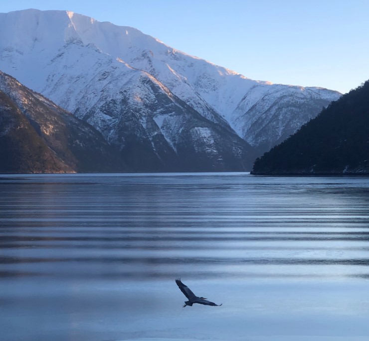 Sognefjorden er verdas djupaste fjord og har heilt unike geologiske kvalitetar. No har Statsforvaltaren fått i oppdrag å setje i gang ein verneprosess for å ta vare på fjorden. Foto: Maria Knagenhjelm. Sognefjorden er verdas djupaste fjord og har heilt unike geologiske kvalitetar. No har Statsforvaltaren fått i oppdrag å setje i gang ein verneprosess for å ta vare på fjorden.