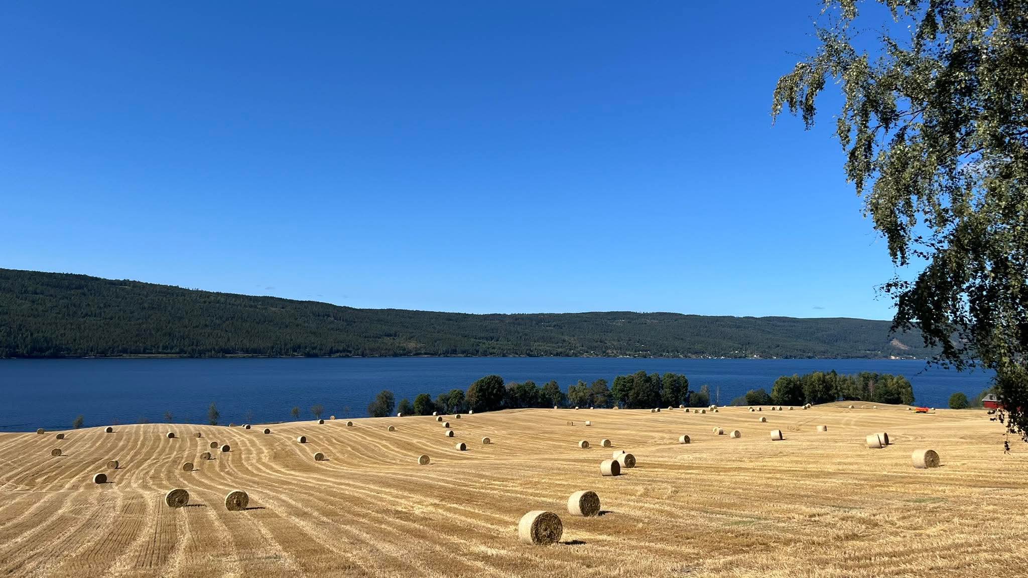 En høstet kornåker der det ligger en del halmballer spredt utover. I bakgrunnen en smal sjø som strekker seg tvers over bildet og en skogkledd ås bakenfor sjøen.
