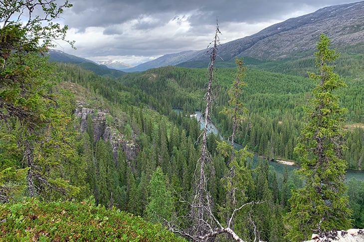 Grønn skog i en dal, en elv og fjell og overskyet himmel i bakgrunnen.