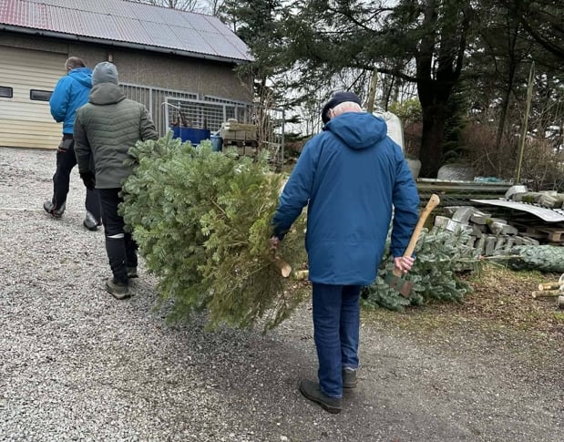 Demente personar tar del i gardsdrifta på Kolnesstranden gard.