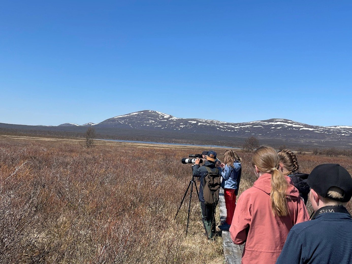 Mennesker betrakter et naturområde