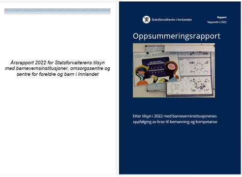 Bilde av rapporter Foto: Statsforvalteren i Innlandet.