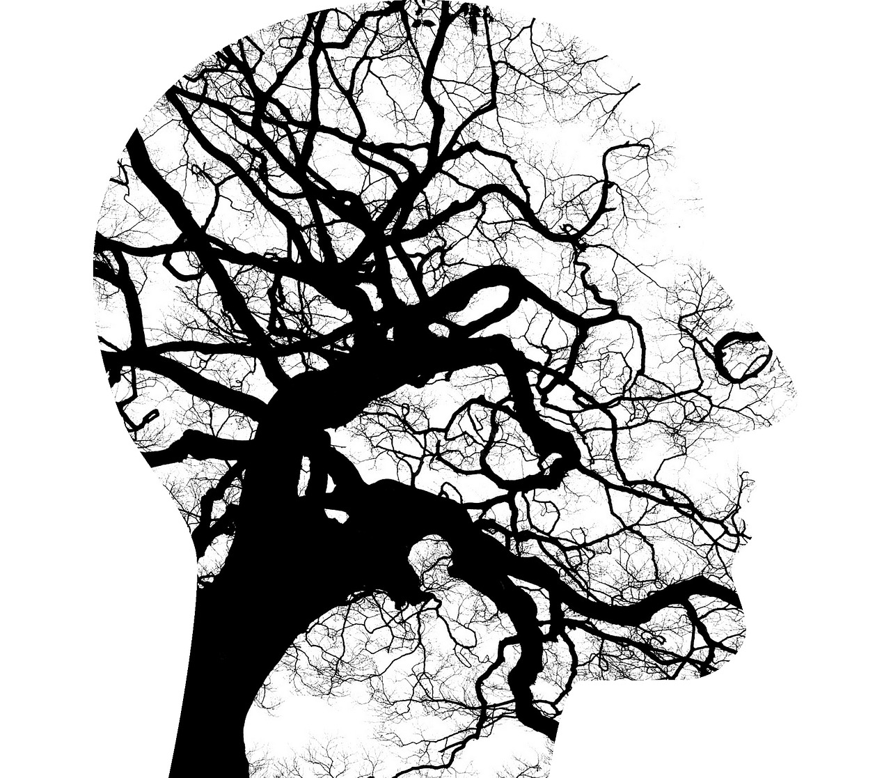 Psykisk helse. Foto: Pixabay