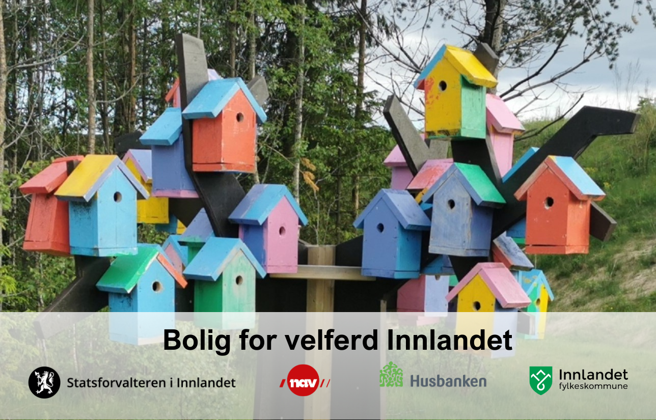 Foto: Svein Holen / Svein Holen. Mange fuglekasser med logoer