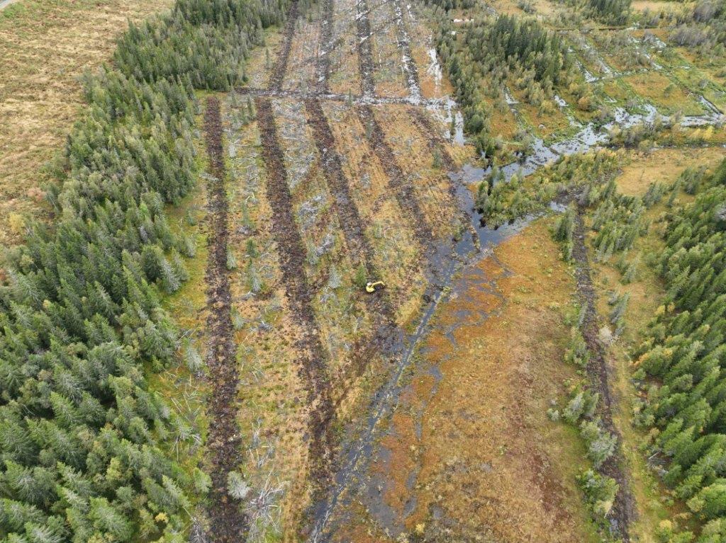 Restaurering av Prestmyra i Gjøvik Foto: Kjølv Ø. Falklev. Restaurering av Prestmyra