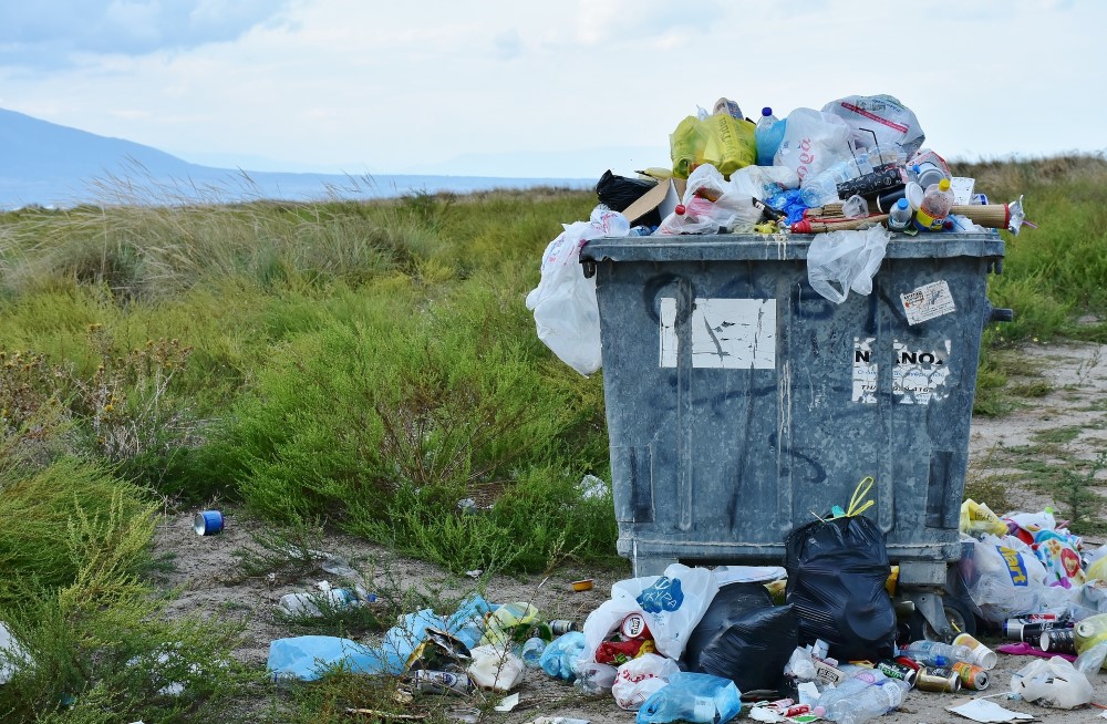 Bildet er hentet fra Pixabay.