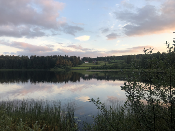 Gaustadsjøen. Foto: Sigrid Hårstad Pålsrud. Sjø