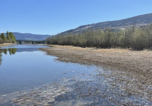 Fra Rykkhustjønnin naturreservat i Sør-Fron. Foto: Alexandra Abrahamson.