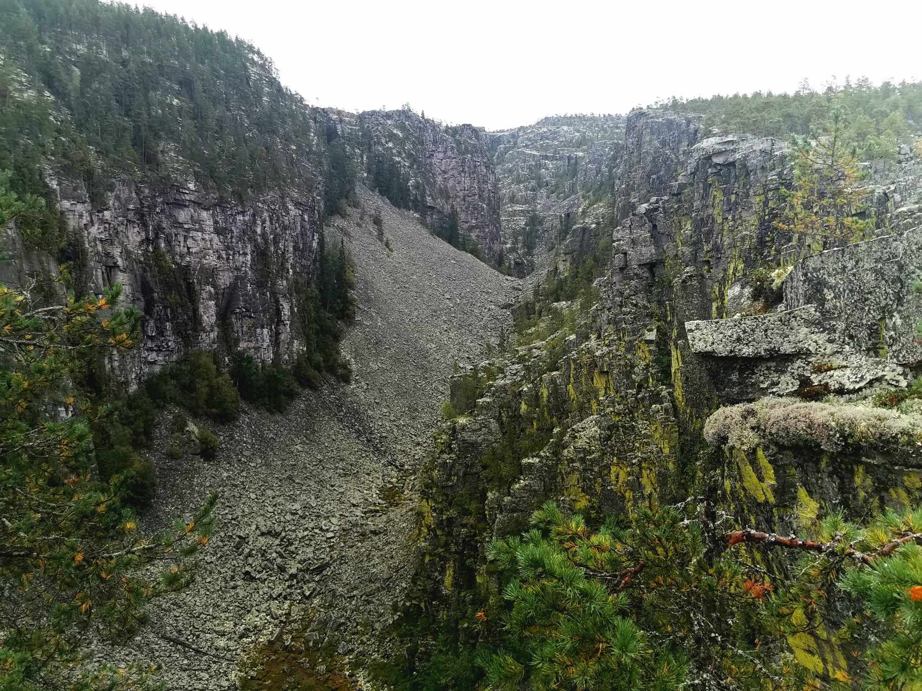 Jutulhogget, nå foreslås også skogen vernet