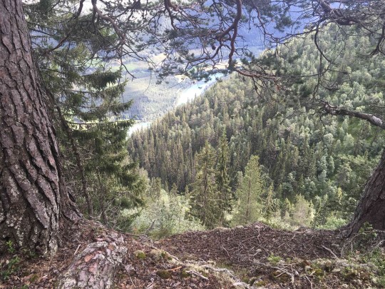Fra foreslått utvidelse av Sandbu naturreservat i Sel kommune. Foto: Asplan Viak.