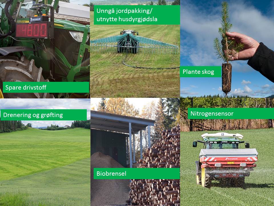Collage med bilder som viser målerpanel for utslipp på traktor, traktor med nedleggingsutstyr for husdyrgjødsel, pluggplante av gran, grønt jorde, stabel av trestammer og traktor med kunstgjødselspreder.