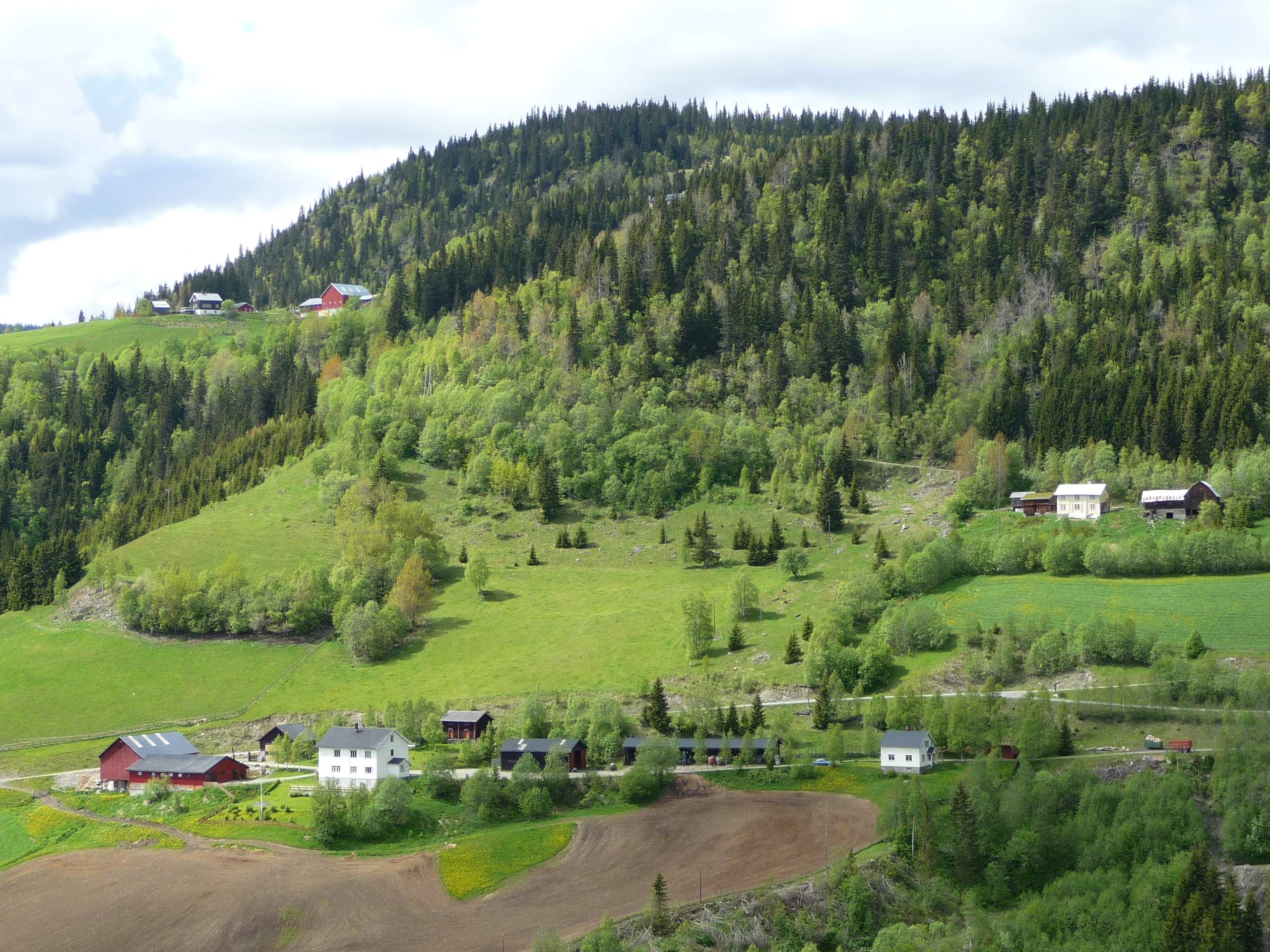 Kulturlandskap i Vestre Gausdal Foto: Stig Horsberg. Utsikt mot bratt kulturlandskap med jorder og gardstun
