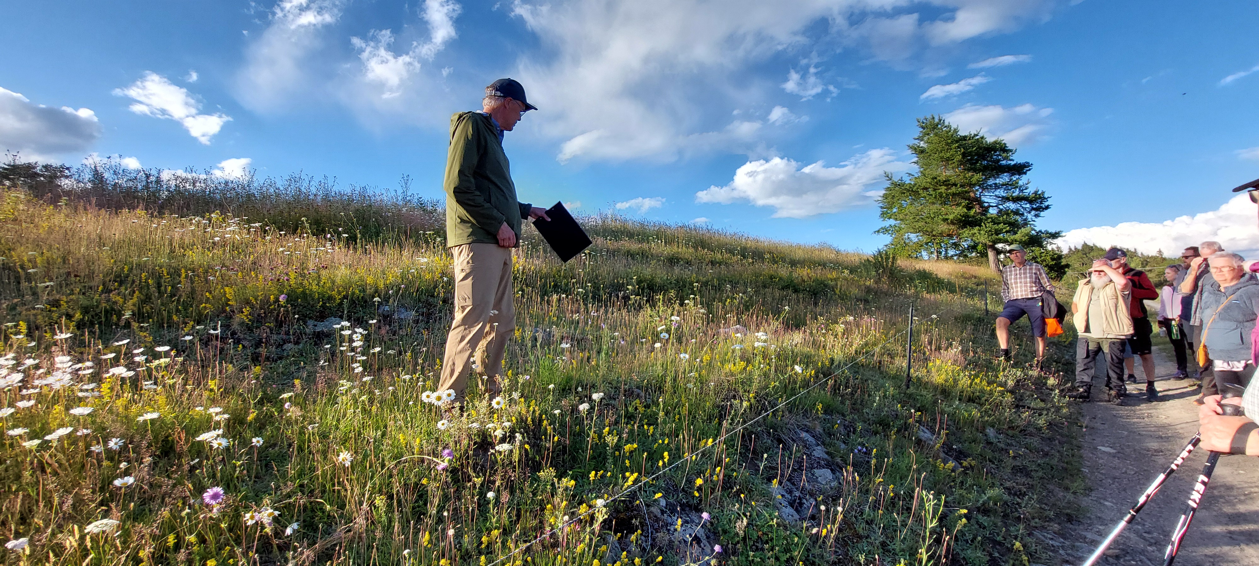 Foto: Gerd L. Solberg. Mann som står i solskinn i blomstereng og snakker til turdeltakere