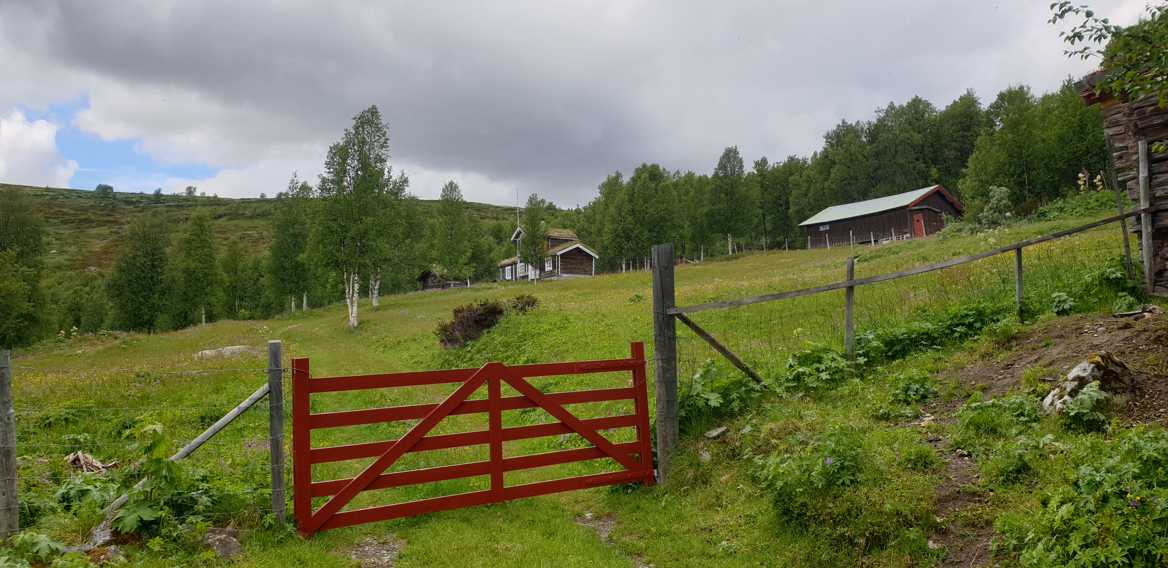 Fra Djupsjøsetra i Nørdervollia Foto: Berit Siksjø. Setervoll med rødmalt grind i forgrunnen og fjøs og seterhus i bakgrunnen