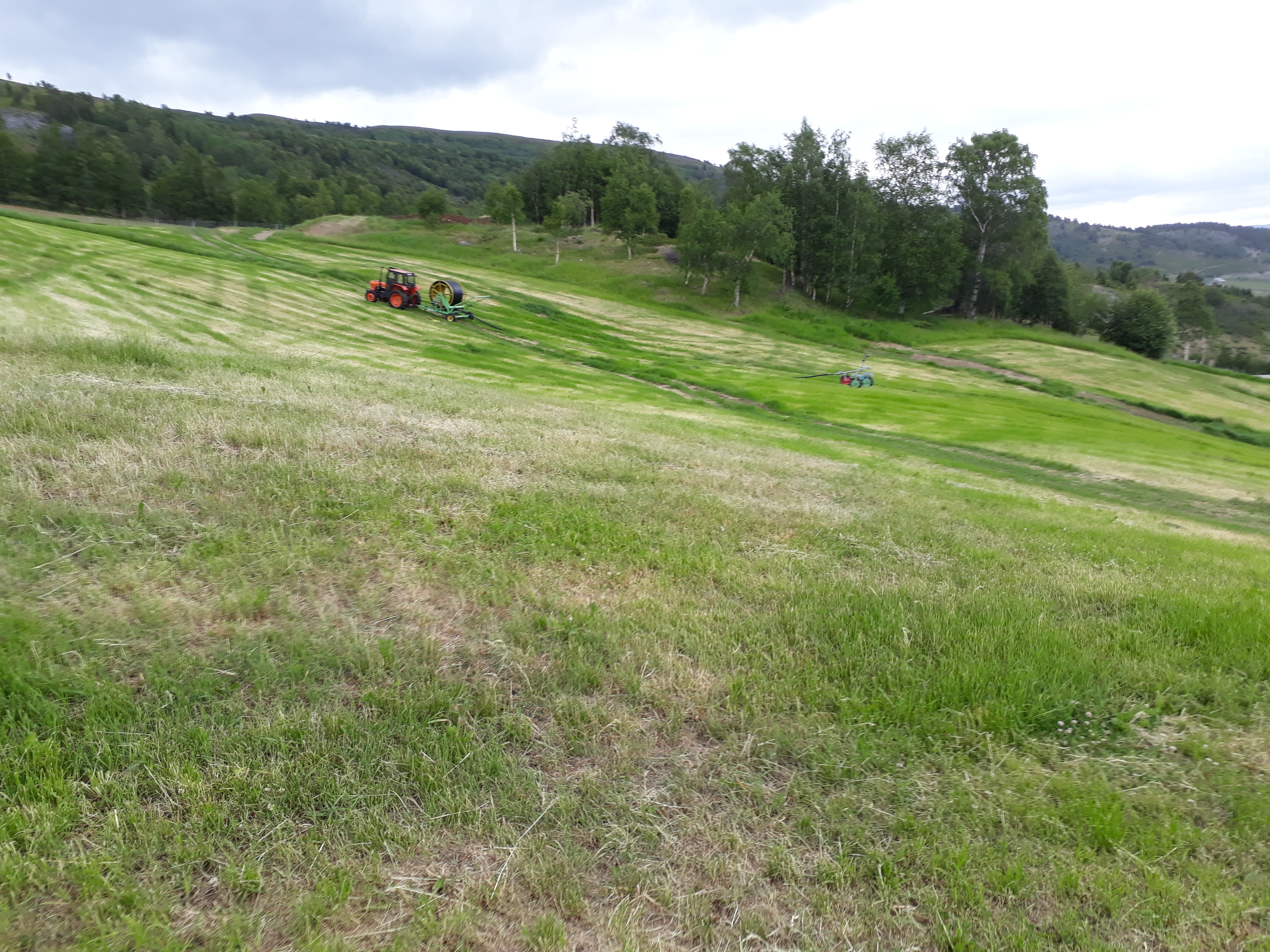 Skadet grasmark tørkesommeren 2018 Foto: Stig Horsberg. Skrånende jorde med mye tørkeskadd gras, traktor og vanningsvogn