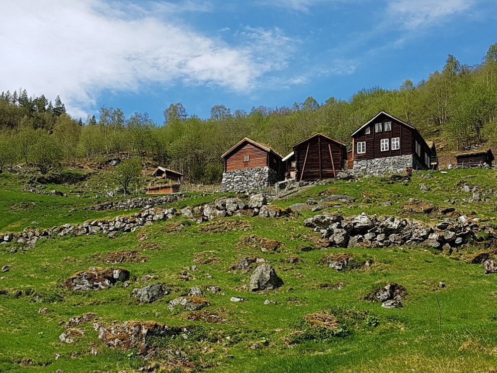 Gamle tømrahus i eit kulturlandskap med mye stein og skog bak