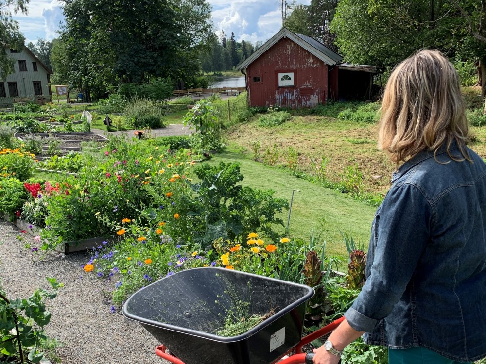 Foto: Karoline Finstad Vold. Foto av en dame i en hage med blomster