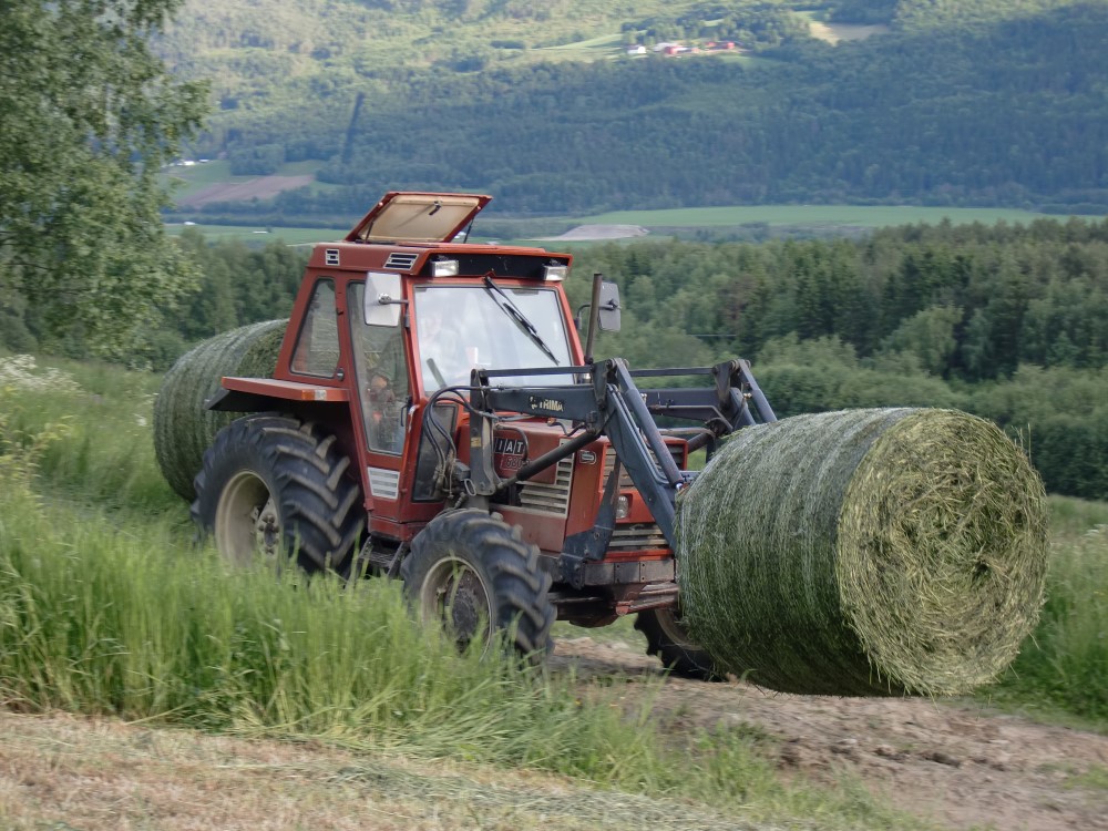 Foto: Anne Berit Grasbakken. Traktor som fraktar rundballar på pigg foran og bak