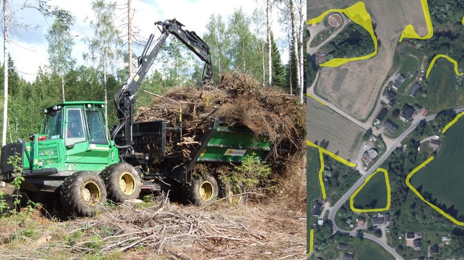 Foto: Carl Olav Holen.