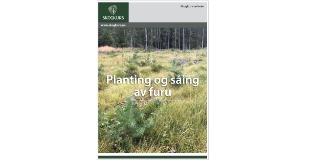 Fremsiden til veilederen Planting og såing av furu