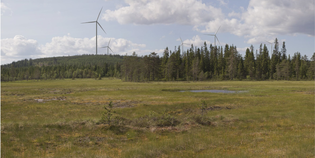 Bilde: Austri Kjølberget DA