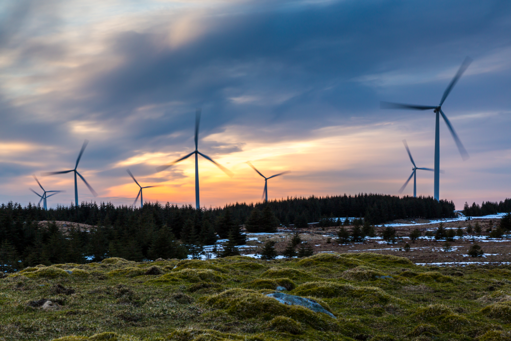 Illustrasjonsfoto av vindmøller. Foto: Getty Images. Illustrasjonsfoto av vindmøller.