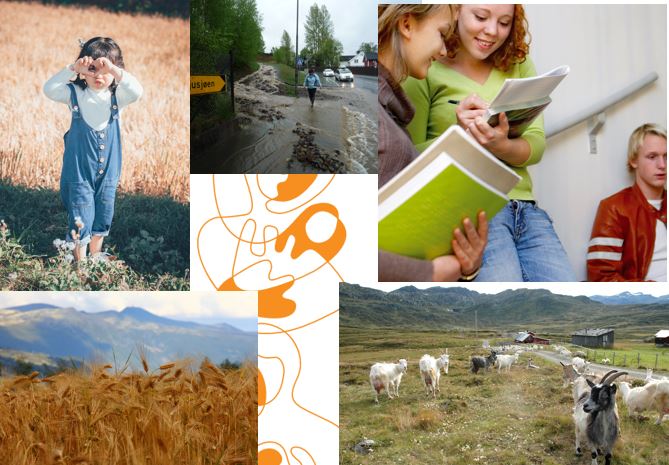 Bildecollage med flere illustrasjonsfoto.