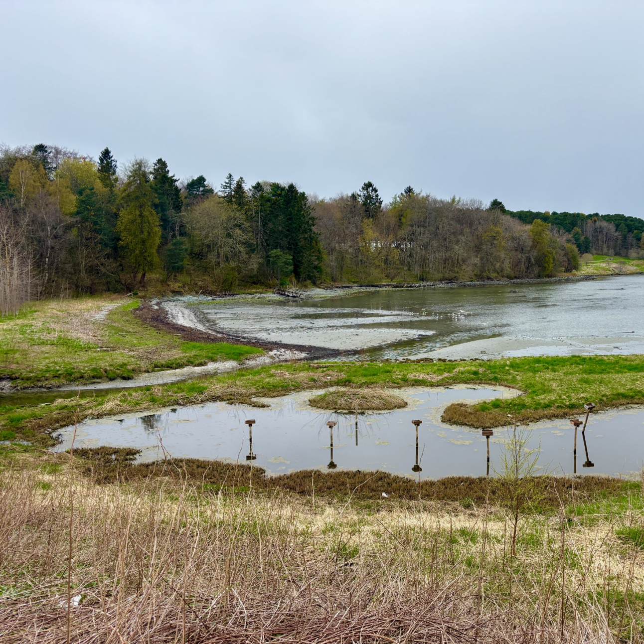 Leangbukta - foto Terje Kolaas
