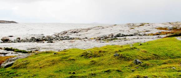 Godt beita og verdifull kystlynghei i Åfjord. Foto: Beate Sundgård