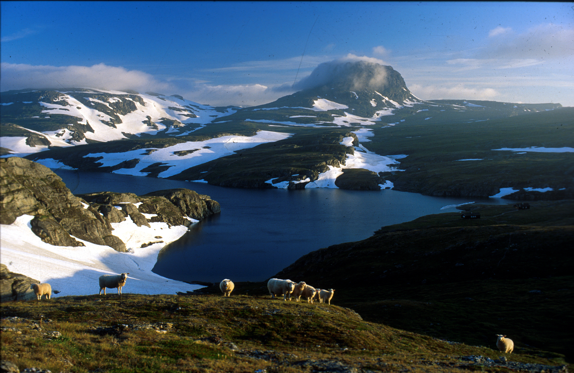 Hårteigen på Hardangervidda. Foto: Jan Rabben Hårteigen på Hardangervidda. Foto: Jan Rabben